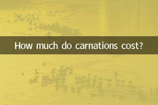 Wie viel kosten Nelken?