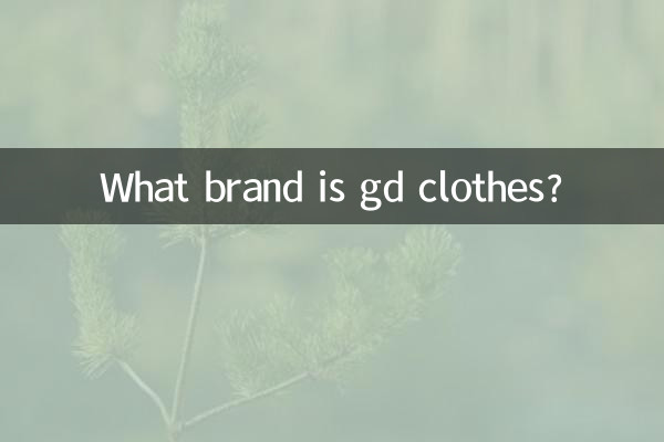 Che marca è GD Clothes?