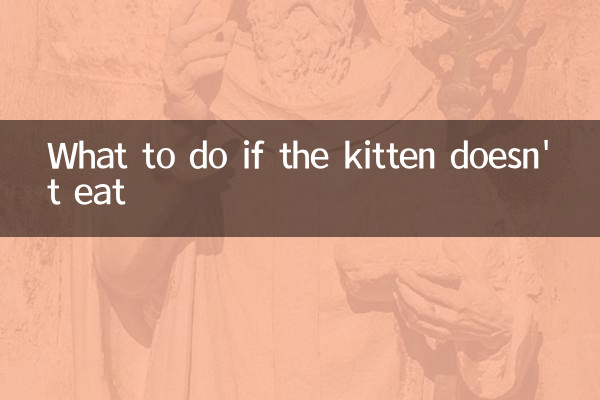Que faire si le chaton ne mange pas