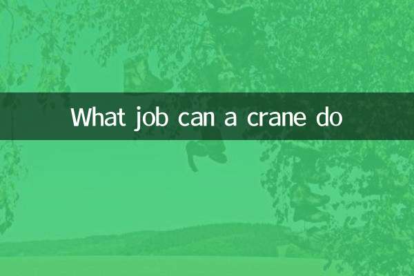 What job can a crane do