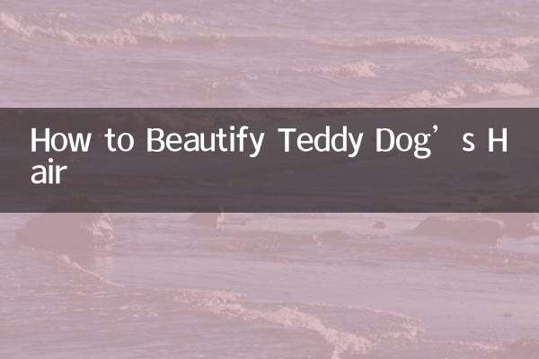 How to Beautify Teddy Dog’s Hair