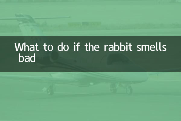 What to do if the rabbit smells bad