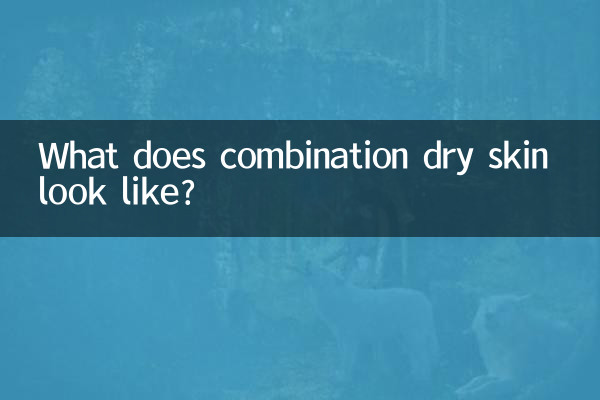 What does combination dry skin look like?