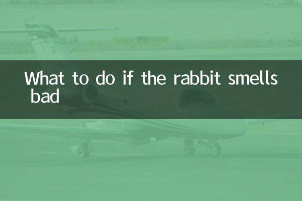 What to do if the rabbit smells bad