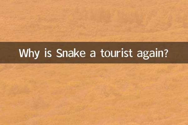 Perché Snake è di nuovo un turista?
