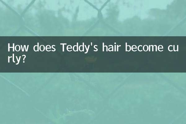 Wie werden Teddys Haare lockig?