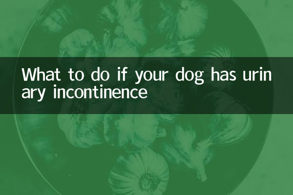 What to do if your dog has urinary incontinence