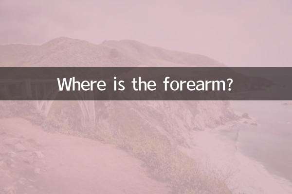 بازو کہاں ہے؟