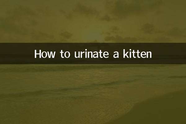 Come urinare un gattino