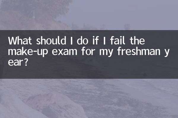 What should I do if I fail the make-up exam for my freshman year?
