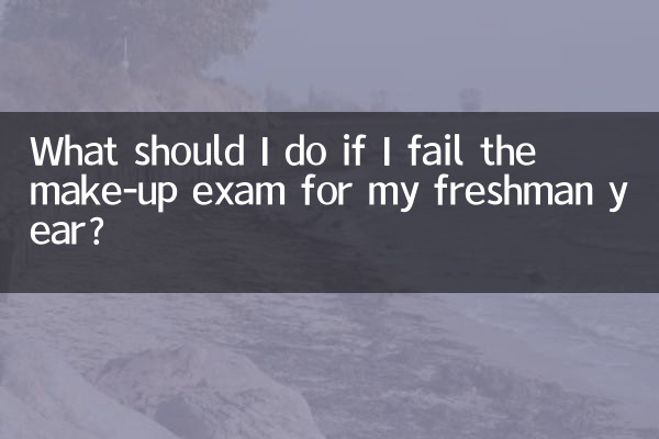 What should I do if I fail the make-up exam for my freshman year?