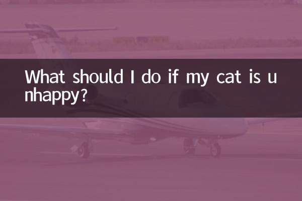 Was soll ich tun, wenn meine Katze unglücklich ist?
