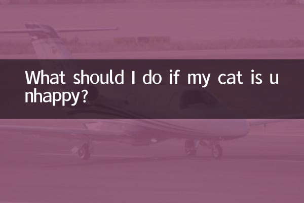 Was soll ich tun, wenn meine Katze unglücklich ist?