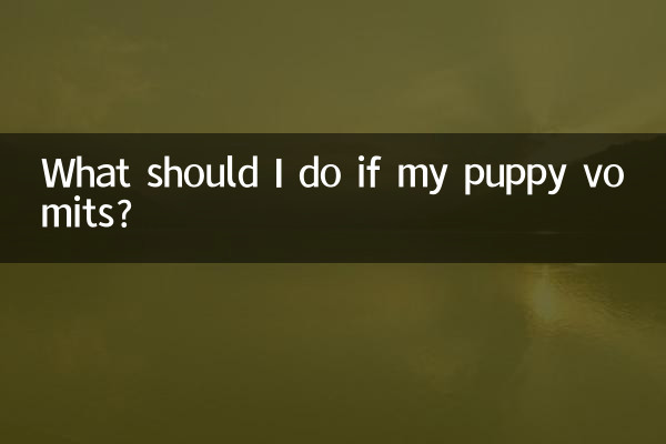 ماذا علي أن أفعل إذا تقيأ الجرو؟