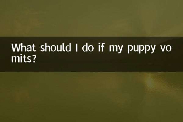 ماذا علي أن أفعل إذا تقيأ الجرو؟