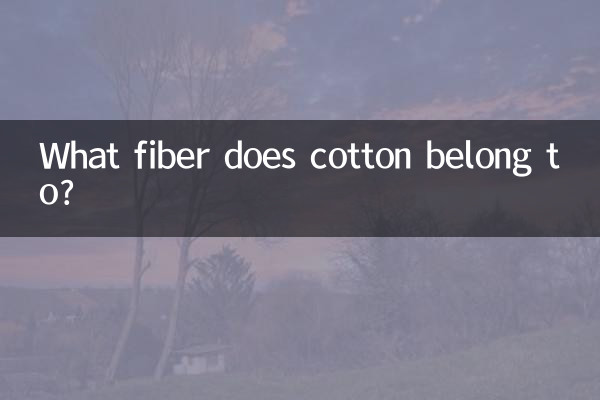 What fiber does cotton belong to?