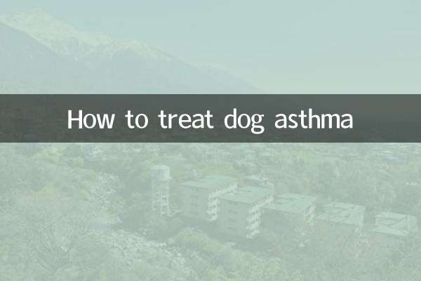 Come trattare l'asma nel cane