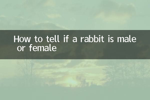 كيفية معرفة ما إذا كان الأرنب ذكرا أم أنثى