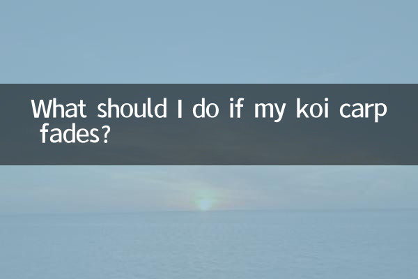 O que devo fazer se minha carpa koi desaparecer?