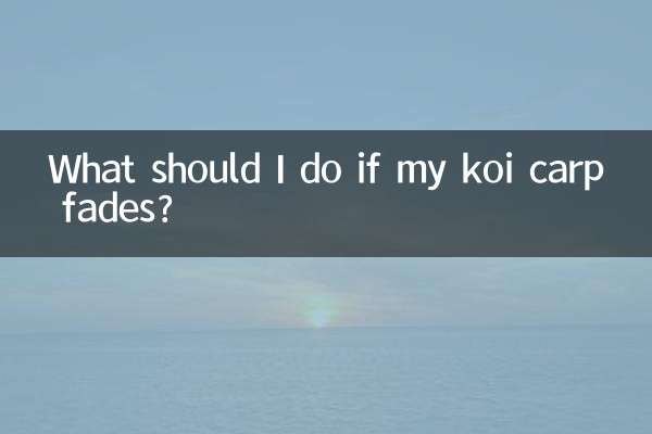 鯉が色褪せてしまったらどうすればいいですか？