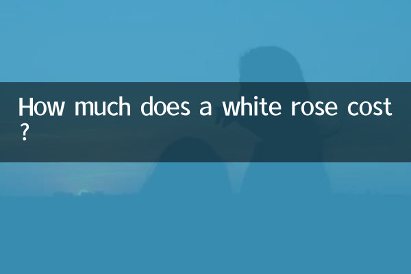 白玫瑰多少钱一朵