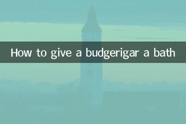 কিভাবে একটি budgerigar একটি স্নান দিতে