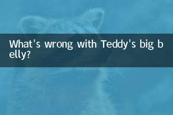 테디의 큰 배는 왜 있는 걸까요?