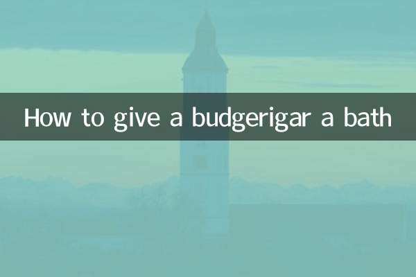 Wie man einen Wellensittich badet