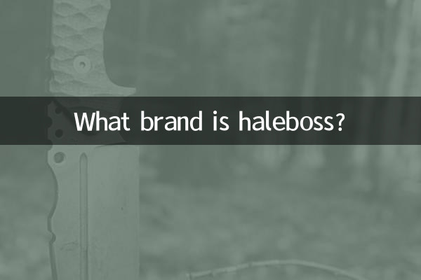 haleboss چه مارکی است؟