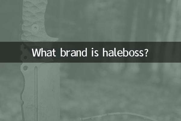haleboss چه مارکی است؟