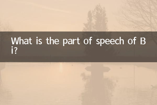 Qual è la parte del discorso di Bi?