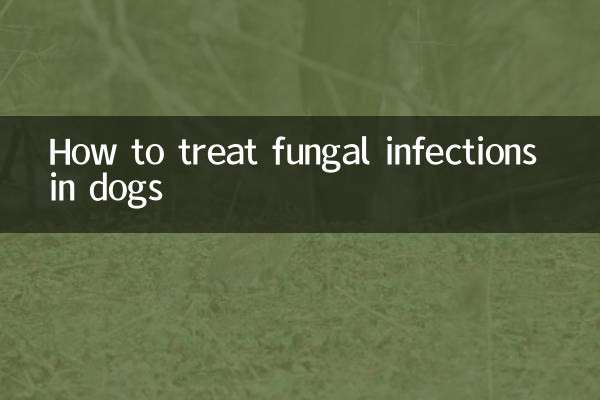 犬の真菌感染症を治療する方法