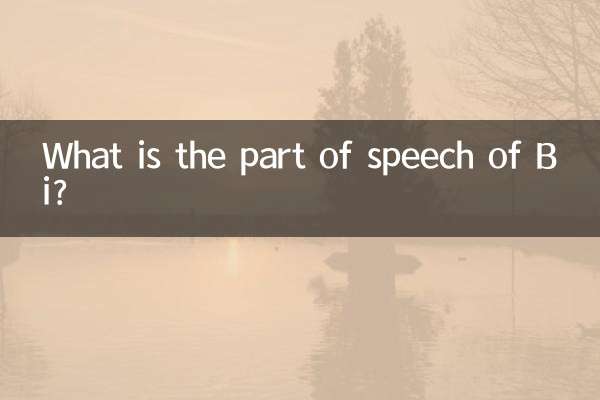 Qual è la parte del discorso di Bi?