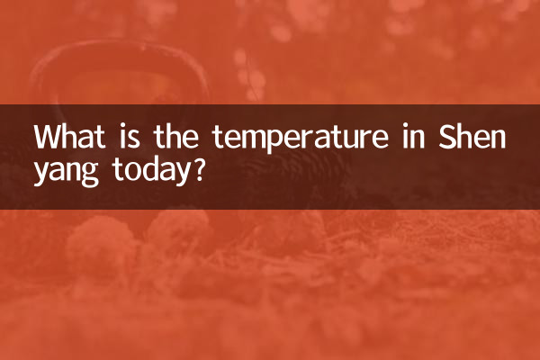 오늘 선양의 기온은 몇 도인가요?