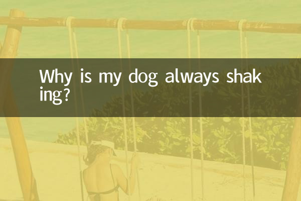 Why is my dog always shaking?