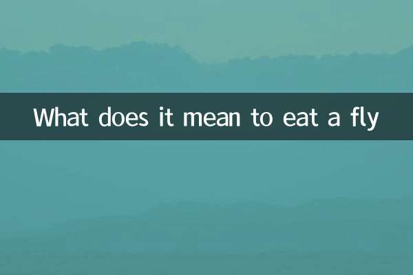 What does it mean to eat a fly