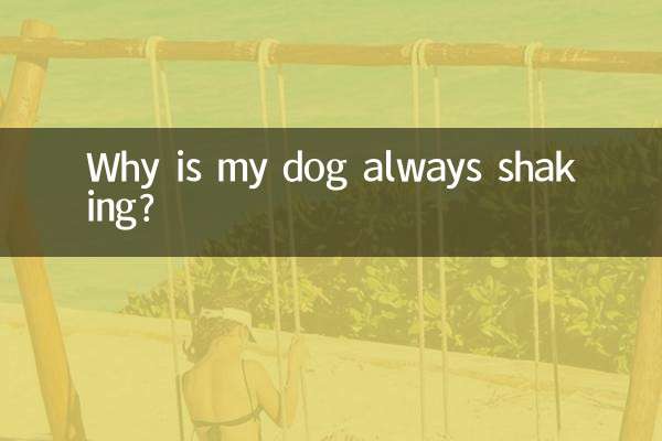 Why is my dog always shaking?