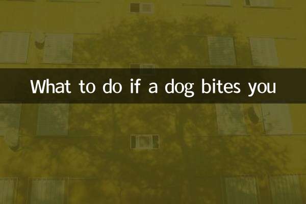 What to do if a dog bites you