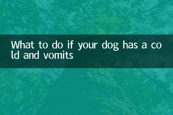 Что делать, если ваша собака простудилась и ее рвет