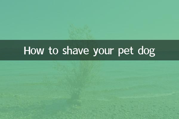 Cómo afeitar a tu perro mascota