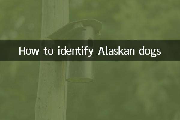 Cómo identificar perros de Alaska