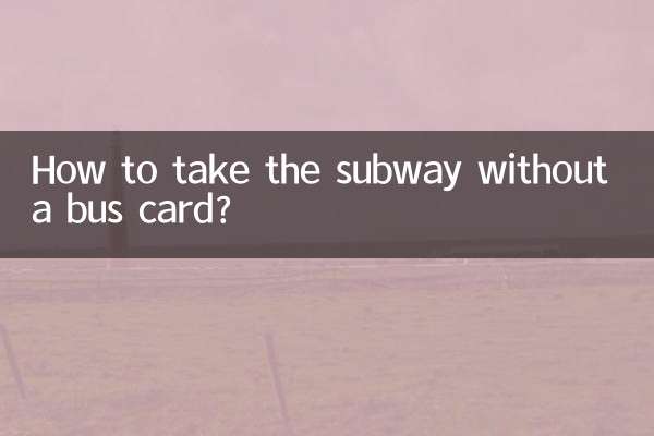 バスカードなしで地下鉄に乗るにはどうすればよいですか?