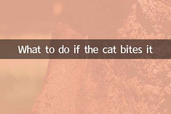 Was tun, wenn die Katze beißt?