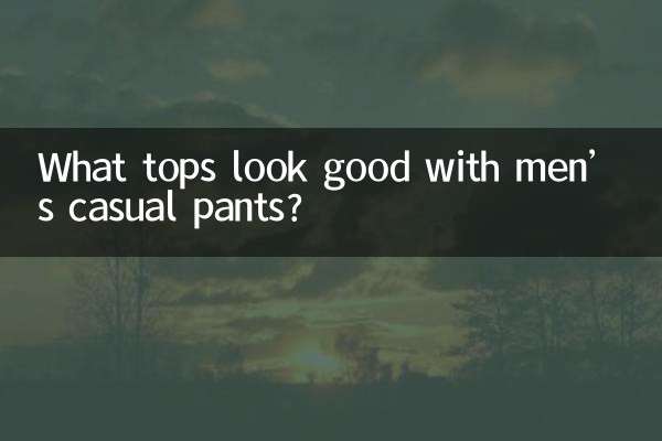 Quali top stanno bene con i pantaloni casual da uomo?