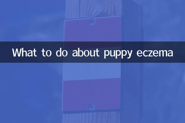 पिल्ला एक्जिमा के बारे में क्या करें?