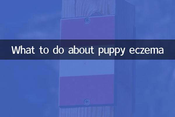 पिल्ला एक्जिमा के बारे में क्या करें?