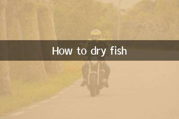 怎么把鱼烘干