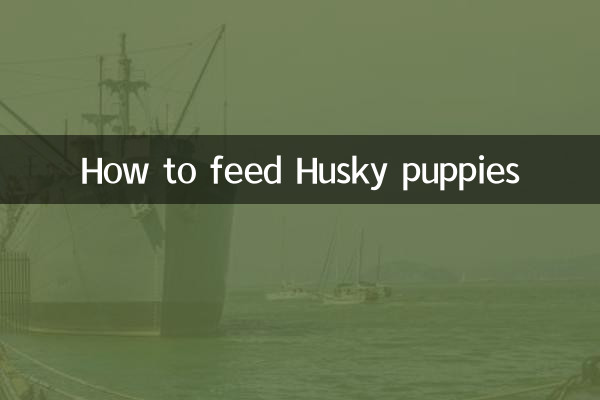 哈士奇幼犬怎麼餵