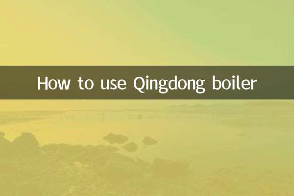庆东锅炉怎么用