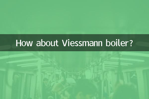 دیگ Viessmann چطور؟